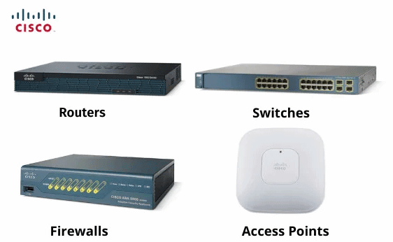 switches, routers, and wireless access points